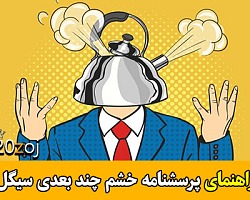 مقیاس خشم,خشم,خشم چند بعدی,پرسشنامه مقیاس شخم چند بعدی سیگل