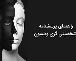  پرسشنامه شخصیت گری ویلسون فرم بلند,پرسشنامه شخصیت گری ویلسون,پرسشنامه شخصیت گری ویلسون فرم کوتاه و بلند,پرسشنامه شخصیت