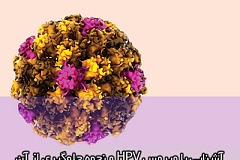 آشنایی با ویروس HPV ونحوه جلوگیری از آن